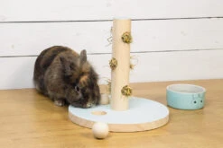 Beeztees Speeltoren Hayra Mint -Dierenwereld Aanbiedingen Winkel 0811114 sfeer1