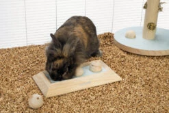 Beeztees Braingame Ballira Mint -Dierenwereld Aanbiedingen Winkel 0811115 sfeer1