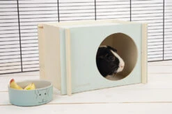 Beeztees Knaagdierhuis Bildup Mint -Dierenwereld Aanbiedingen Winkel 0811119 sfeer1