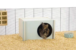 Beeztees Knaagdierhuis Bildup Mint -Dierenwereld Aanbiedingen Winkel 0811120 sfeer1