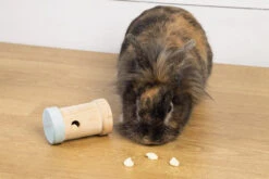 Beeztees Snackkoker Yumzi Mint -Dierenwereld Aanbiedingen Winkel 0811124 sfeer1