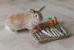 Beeztees Knaagdierspeelmat Nature 7 Beeztees Knaagdierspeelmat Nature -Dierenwereld Aanbiedingen Winkel 0811182 sfeer2