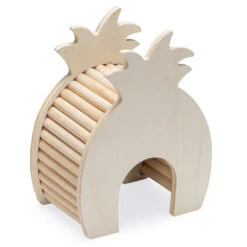 Beeztees Hamsterhuis Ananas -Dierenwereld Aanbiedingen Winkel 0811185 3
