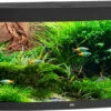Juwel Aquarium Vision 450 LED Zwart