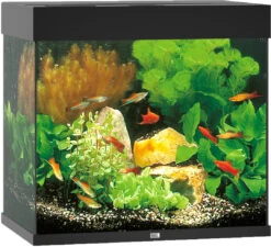 Juwel Aquarium Lido 120 LED Zwart
