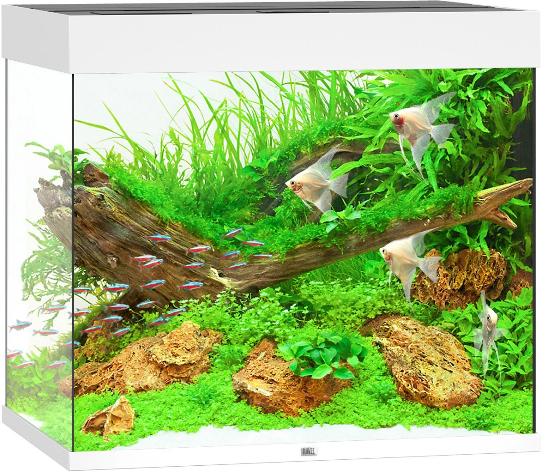 Juwel Aquarium Lido 200 LED Wit 1 Juwel Aquarium Lido 200 LED Wit