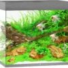 Juwel Aquarium Lido 200 LED Met Filter Grijs