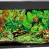 Juwel Aquarium Rio 125 LED Zwart