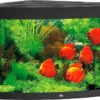 Juwel Aquarium Trigon 350 LED Zwart