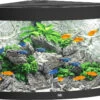 Juwel Aquarium Trigon 190 LED Zwart