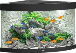 Juwel Aquarium Trigon 190 LED Zwart