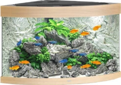 Juwel Aquarium Trigon 190 LED Licht Eiken