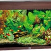 Juwel Aquarium Rio 125 LED Donkerbruin