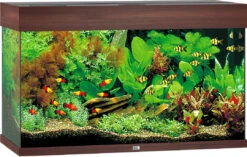 Juwel Aquarium Rio 125 LED Donkerbruin