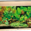 Juwel Aquarium Rio 125 LED Licht Eiken