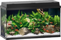 Juwel Aquarium Primo 110 Zwart