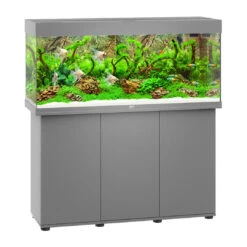 Juwel Aquarium Rio 240 LED Met Filter Grijs