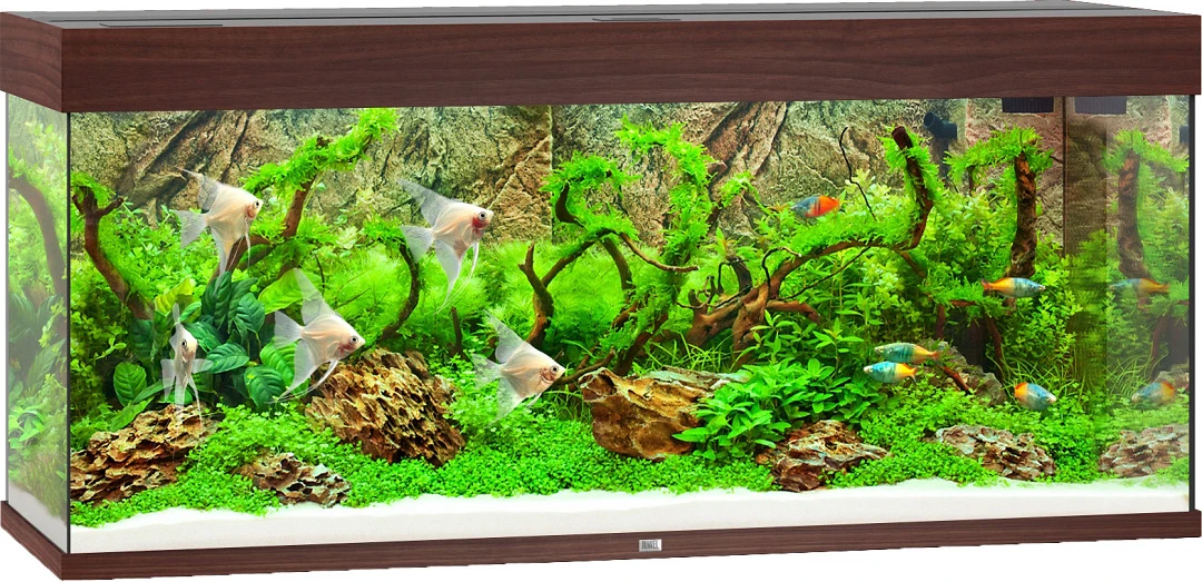 Juwel Aquarium Rio 240 LED Donkerbruin 1 Juwel Aquarium Rio 240 LED Donkerbruin