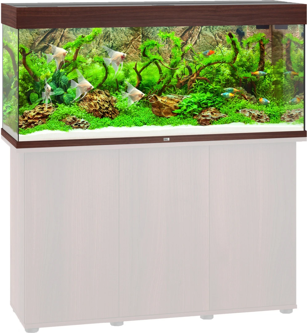 Juwel Aquarium Rio 240 LED Donkerbruin 2 Juwel Aquarium Rio 240 LED Donkerbruin - Afbeelding 2
