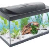 Tetra Aquarium Starter Line 54 Ltr