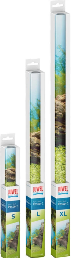 Juwel Achterwand Poster 1