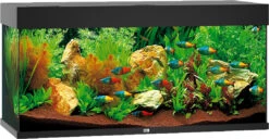 Juwel Aquarium Rio 180 LED Zwart