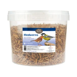 Deli Nature Meelwormen 700 Gr