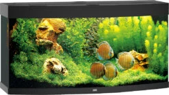 Juwel Aquarium Vision 260 LED Zwart