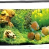Juwel Aquarium Vision 260 LED Wit