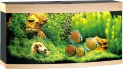 Juwel Aquarium Vision 260 LED Licht Eiken