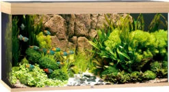 Juwel Aquarium Rio 350 LED Licht Eiken