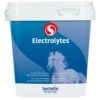 Sectolin Equivital Electrolyten 1 Kg