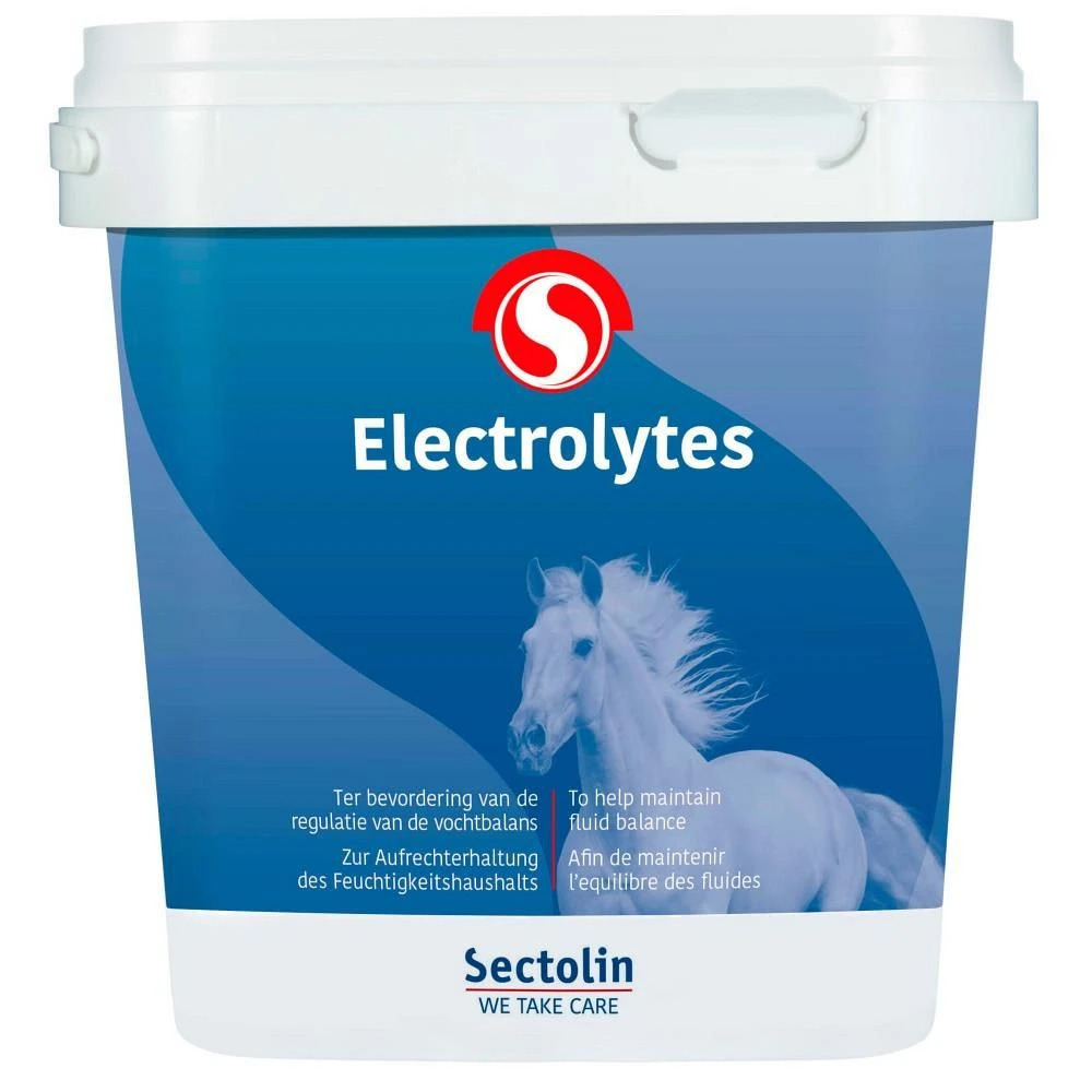 Sectolin Equivital Electrolyten 1 Kg 1 Sectolin Equivital Electrolyten 1 Kg