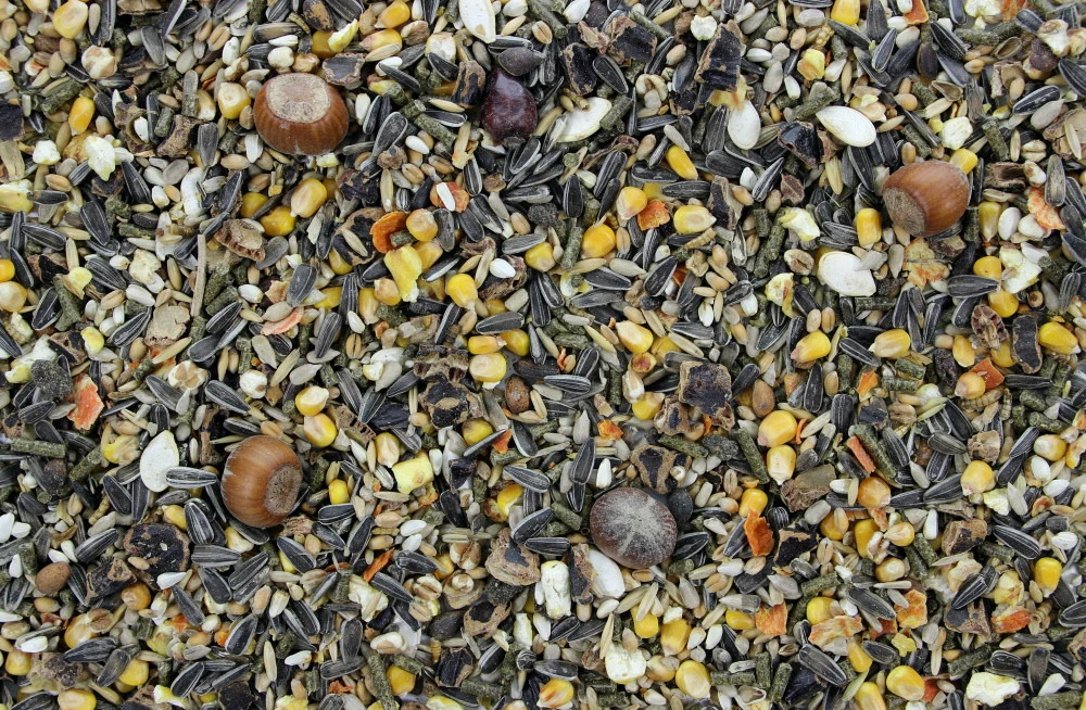 Eekhoornvoer 500 Gr 2 Eekhoornvoer 500 Gr - Afbeelding 2