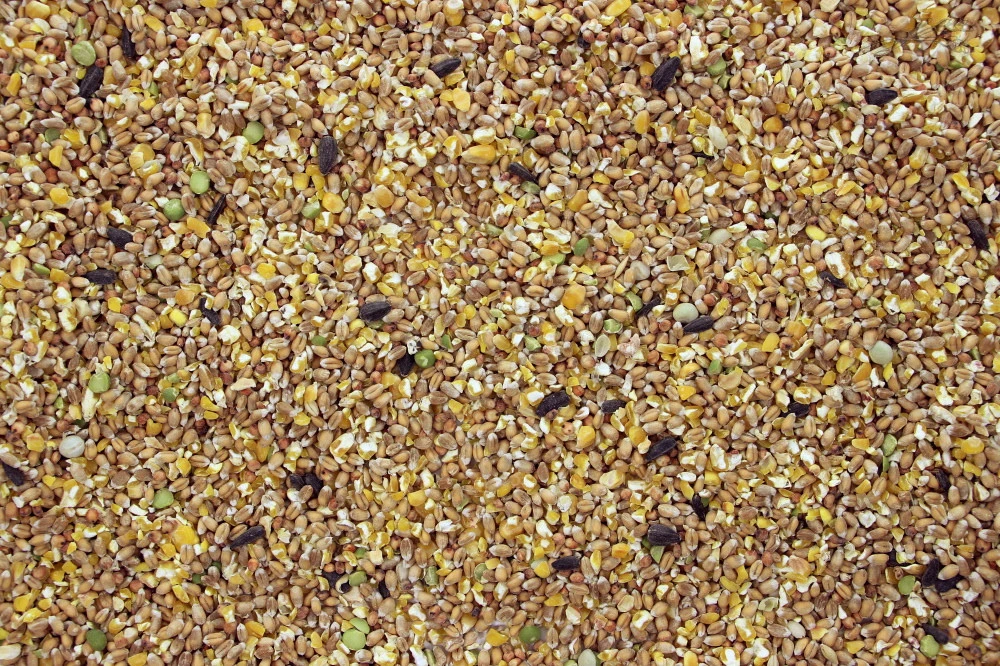 Ardeens Graan 5 Kg 2 Ardeens Graan 5 Kg - Afbeelding 2