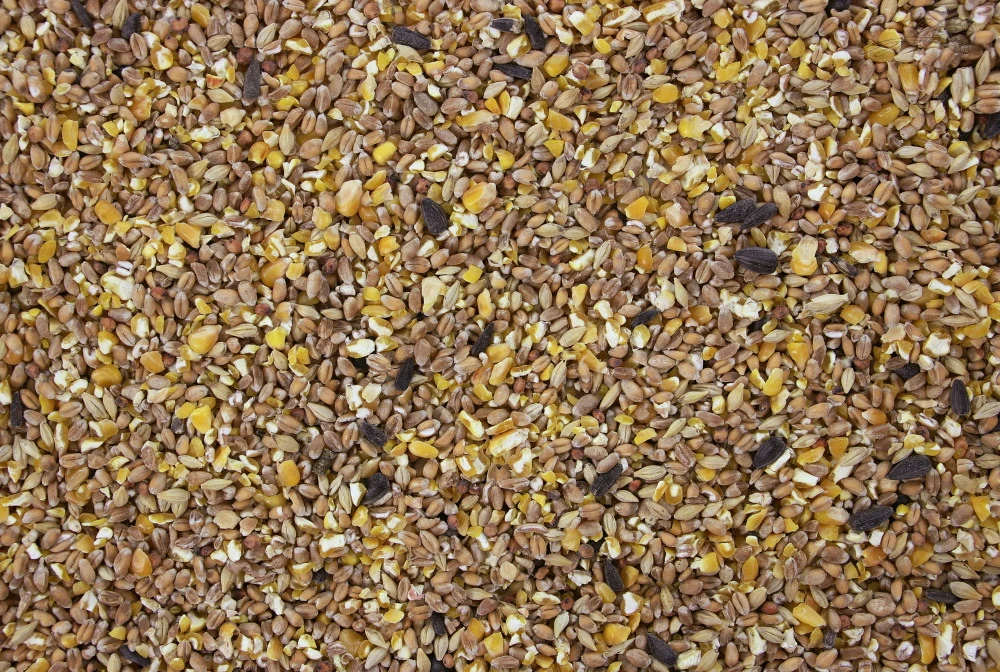 Gemengd Graan G.M.M.Z. 20 Kg 3 Gemengd Graan G.M.M.Z. 20 Kg - Afbeelding 3