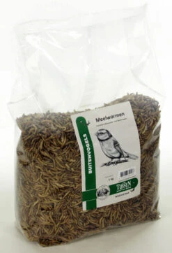 Meelwormen 1 Kg