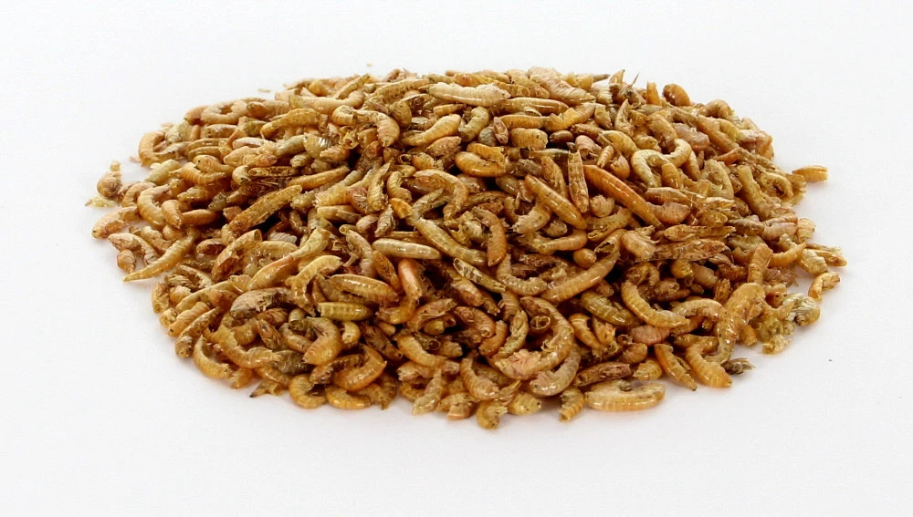 Gammarus 750 Gr 2 Gammarus 750 Gr - Afbeelding 2