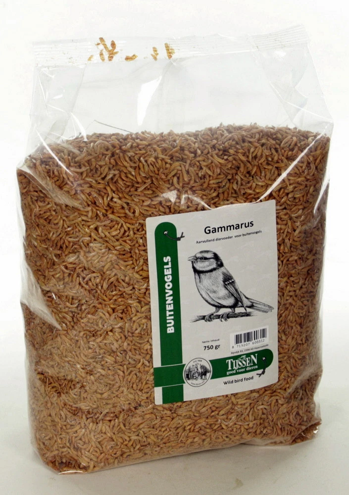 Gammarus 750 Gr 1 Gammarus 750 Gr