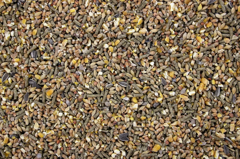 Scharrelmix Pluimvee 5 Kg 2 Scharrelmix Pluimvee 5 Kg - Afbeelding 2