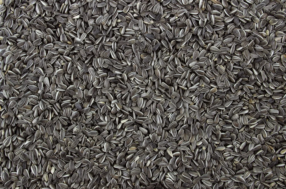 Zonnepitten Gestreept 1 Kg 2 Zonnepitten Gestreept 1 Kg - Afbeelding 2