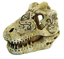 SuperFish Skull T-Rex S