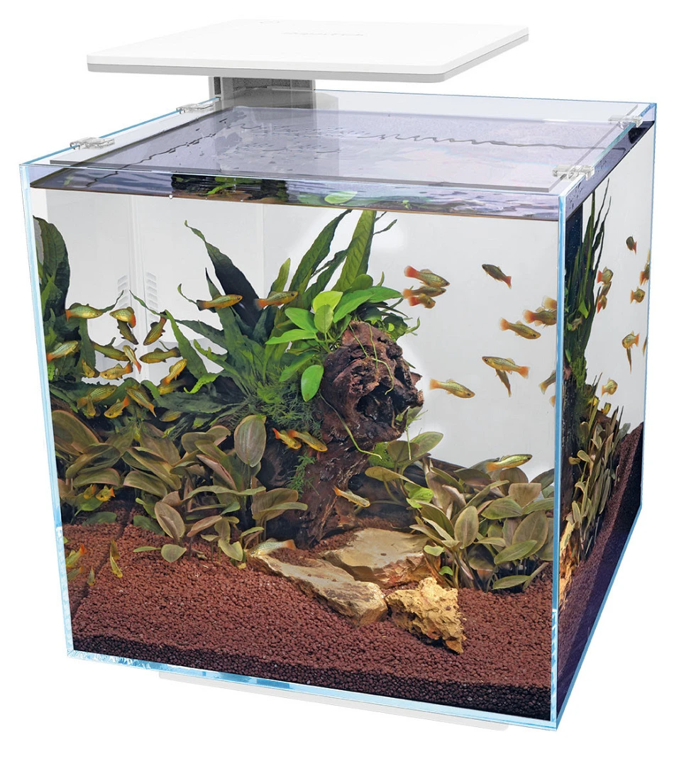 SuperFish Aquarium Qubiq 60 Pro Wit 1 SuperFish Aquarium Qubiq 60 Pro Wit