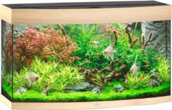 Juwel Aquarium Vision 180 LED Licht Eiken