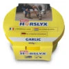 Horslyx Garlic Mini