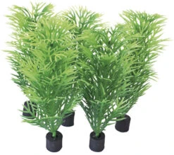 SuperFish Easy Plants Nano Plug 8 Cm 5 St