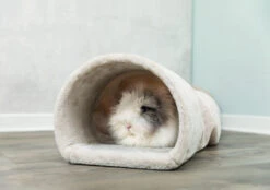 TRIXIE Relax-Tunnel Konijn En Cavia Beige 7 TRIXIE Relax-Tunnel Konijn En Cavia Beige -Dierenwereld Aanbiedingen Winkel PHO PRO SANIMAL 63102 2 SALL APRKU V1