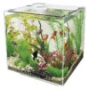 SuperFish Aquarium Qubiq 30 Wit