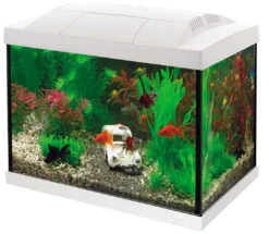 SuperFish Aquarium Start 20 Goldfish Kit Wit