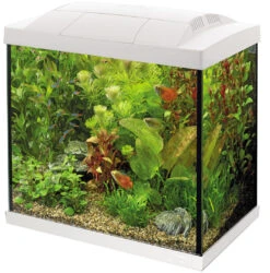 SuperFish Aquarium Start 30 Tropical Kit Wit